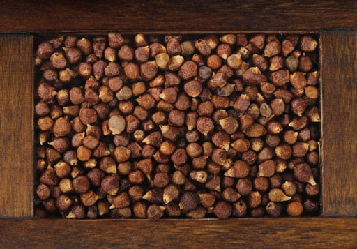 Grains of Paradise Seed Extract