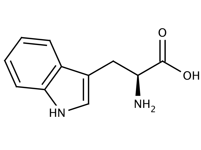 Melatonin and L-tryptophan