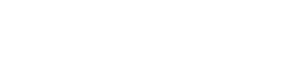 Capsimax