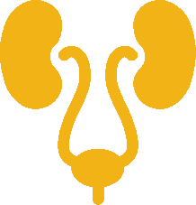 Destroy Inflammatory Substances