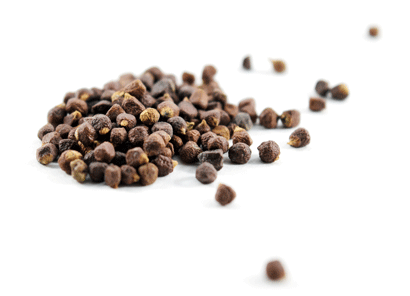 Paradoxine Ingredient