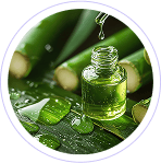 Silica-Rich Botanicals (horsetail & bamboo)