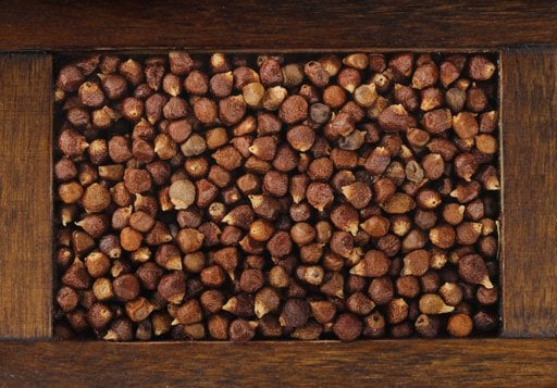 Grains of Paradise