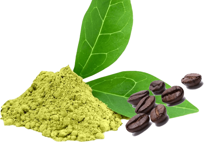 EGCG & CAFFEINE
