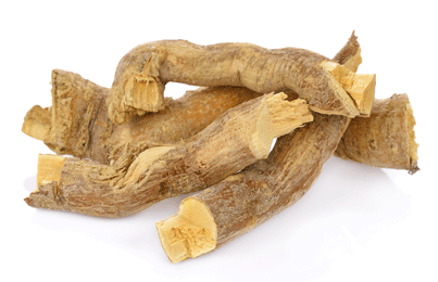 EURYOOMA LONGIFOLLA